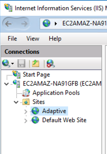 The Internet Information Services (IIS) Manager. 